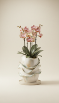 White Glazed Orchid Cascade Arrangement