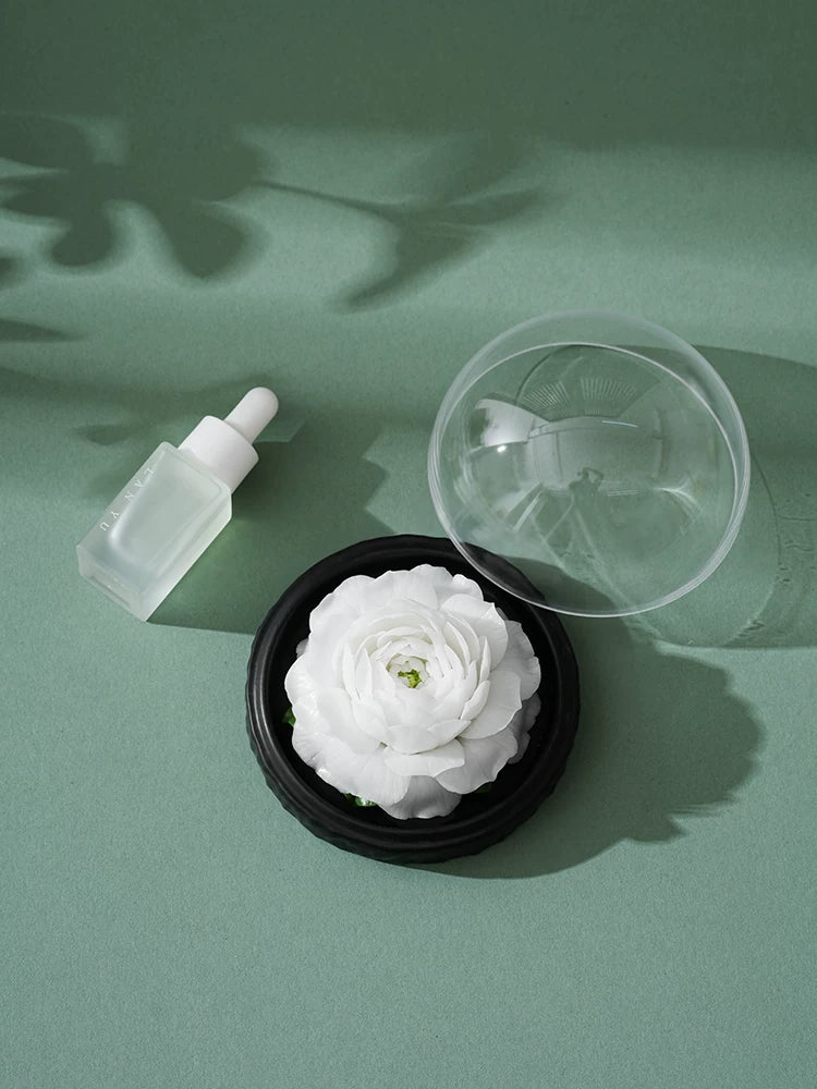 [Birthday Gift] Handmade Dehua Porcelain Flower Aroma Diffuser Gift Box