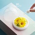 Lanyu Sunflower Porcelain Aromatherapy Gift Box, Non-Heritage Cultural and Creative High-End Business Gift for Leading Customers