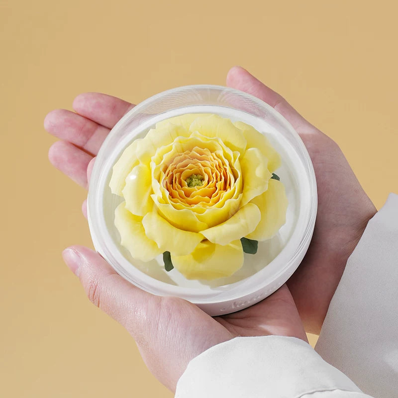 Hand‑Crafted Austin Rose Porcelain Flower Aromatherapy, Intangible Cultural Heritage Decor Gift